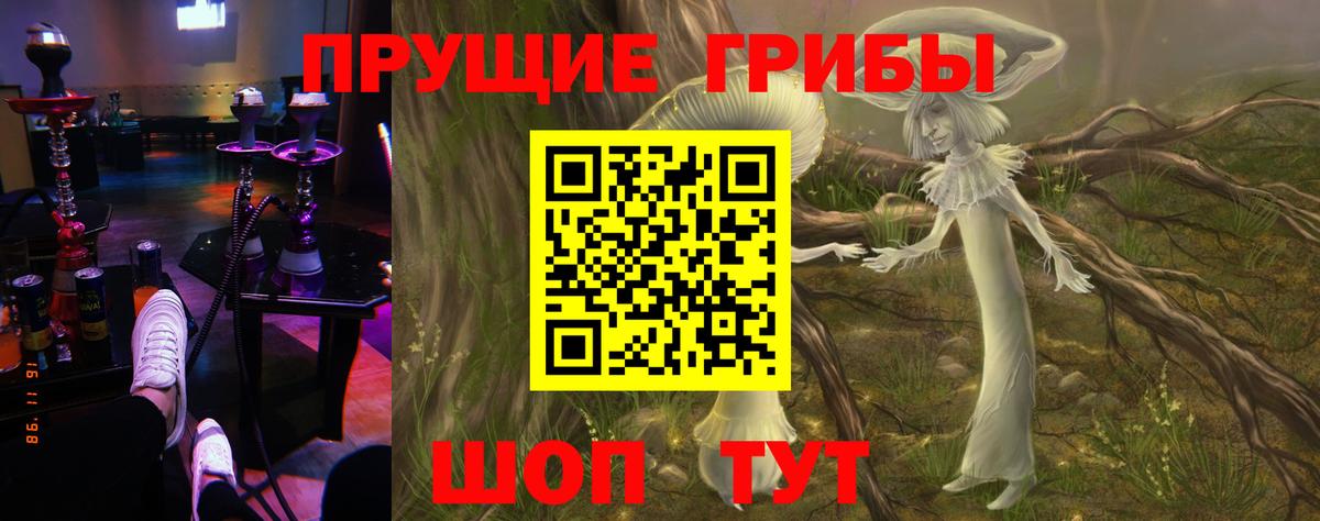 Псилоцибиновые грибы Psilocybe  Вход с VPN  Уварово 